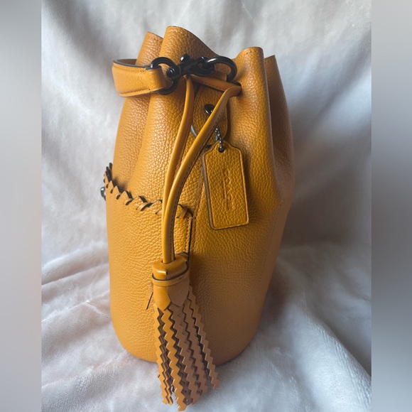 EXCELLENT CONDITION Coach Lora Bucket in Pollen - Picture 3 of 8